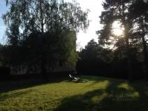 Продать участок 13.5 соток , фотография 2