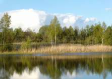 Покупка участок 10.0 соток , фотография 3