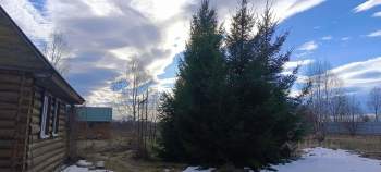 Покупка участок 26.0 соток , фотография 3
