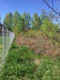 Купить участок 8.0 соток , фотография 6