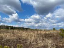 Продать участок 9.5 соток , фотография 2