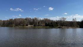 Куплю участок 8.0 соток , фотография 4