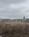 Куплю участок 40.0 соток , фотография 4
