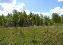 Продать участок 10.0 соток , фотография 2