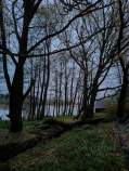 Куплю участок 4.0 соток , фотография 4