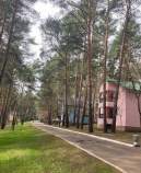 Куплю участок 8.0 соток , фотография 4