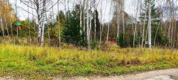 Покупка участок 10.0 соток , фотография 3