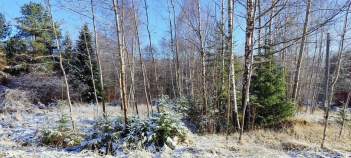 Купить участок 10.0 соток , фотография 6