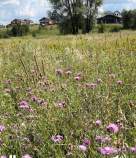 Купить участок 9.0 соток , фотография 9