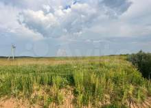 Покупка участок 24.7 соток , фотография 3