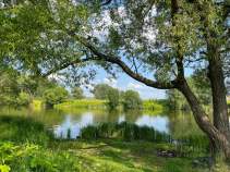 Куплю участок 8.9 соток , фотография 4