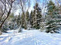 Купить участок 8.9 соток , фотография 5