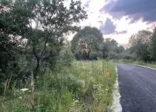 Купить участок 16.0 соток Московская область, Домодедово, Московская обл., Домодедово, КП Ильинская слобода, 368 Покупка участок 16.0 соток , фотография 3