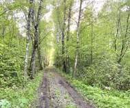 Купить участок 7.2 соток Московская область, Домодедово, КП Данилово Парк тер., 147 Купить участок 7.2 соток , фотография 9