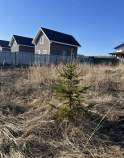 Купить участок 19.8 соток , фотография 5