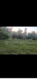 Продать участок 6.0 соток , фотография 2