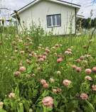 Покупка дом на участке  соток , фотография 3