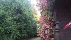 Фотография Участок в Московская область, Подольск городской округ, Астра СНТ ул. Вишневая (10.1 сот.), ул. Вишневая Куплю участок 10.1 соток , фотография обложки