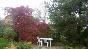 Продажа недвижимости Московская область, Подольск городской округ, Астра СНТ, ул. Вишневая Цена на участок 10.1 соток , фотография 1