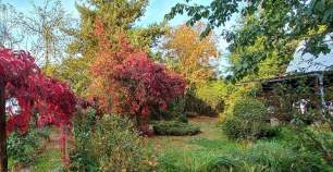 Продать участок 10.1 соток Московская область, Подольск городской округ, Астра СНТ, ул. Вишневая Продать участок 10.1 соток , фотография 2