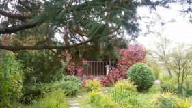 Купить участок 10.1 соток Московская область, Подольск городской округ, Астра СНТ, ул. Вишневая Покупка участок 10.1 соток , фотография 3