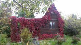 Продается участок 10.1 соток Московская область, Подольск городской округ, Астра СНТ, ул. Вишневая Куплю участок 10.1 соток , фотография 4