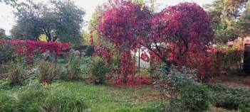 Купить участок 10.1 соток Московская область, Подольск городской округ, Астра СНТ, ул. Вишневая Купить участок 10.1 соток , фотография 5