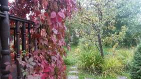 Купить участок 10.1 соток Московская область, Подольск городской округ, Астра СНТ, ул. Вишневая Купить участок 10.1 соток , фотография 6