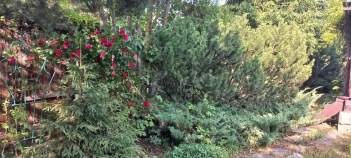 Купить участок 10.1 соток Московская область, Подольск городской округ, Астра СНТ, ул. Вишневая Купить участок 10.1 соток , фотография 8