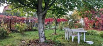 Купить участок 10.1 соток Московская область, Подольск городской округ, Астра СНТ, ул. Вишневая Купить участок 10.1 соток , фотография 9