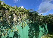 Купить дом на участке соток Московская область, Чехов, Московская обл., муниципальный округ Чехов, пос. дома отдыха Лопасня, 114 Купить дом на участке соток , фотография 8