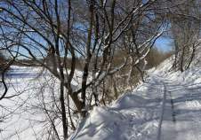 Купить участок 5.1 соток Московская область, Подольск, Московская обл., Подольск, СНТ Коммунальник, 123 Купить участок 5.1 соток , фотография 5