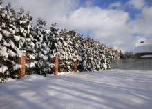 Куплю участок 10.7 соток , фотография 4