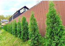 Купить участок 10.0 соток , фотография 8