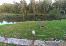 Куплю дом на участке  соток , фотография 4