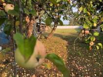 Куплю участок 21.7 соток , фотография обложки