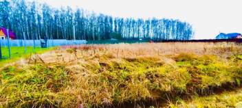 Куплю участок 10.0 соток , фотография обложки