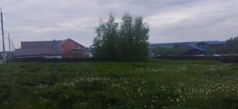 Покупка участок 15.0 соток , фотография 3