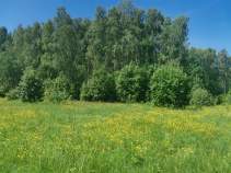 Купить участок 10.0 соток , фотография 5