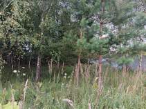 Куплю участок 25.0 соток , фотография обложки