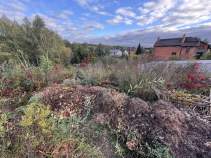 Продать участок 13.0 соток , фотография 2