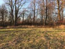 Куплю участок 9.0 соток , фотография 4