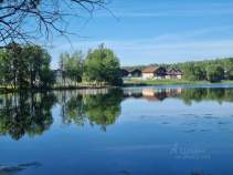 Куплю участок 30.0 соток , фотография 4