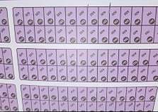 Цена на участок 6.0 соток , фотография 1