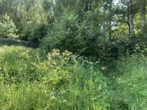 Купить участок 10.3 соток , фотография 8