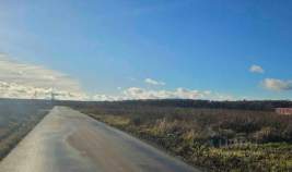 Купить участок 6.0 соток , фотография 9