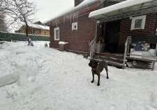 Цена на дом на участке  соток , фотография 1