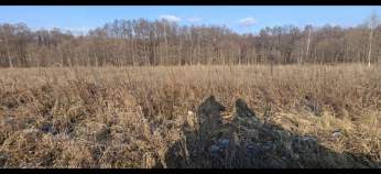 Цена на участок 6.0 соток , фотография 1