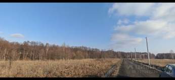 Покупка участок 6.0 соток , фотография 3