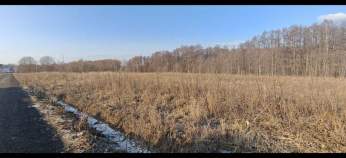 Купить участок 6.0 соток , фотография 6